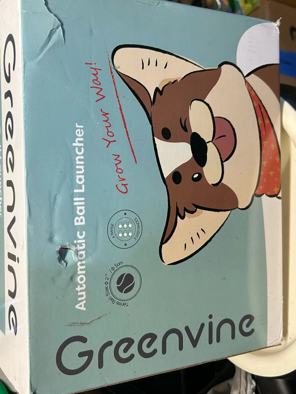 Greenvine Automatic Dog Ball Launcher - Teal EUC 4 New Balls Pet Fun